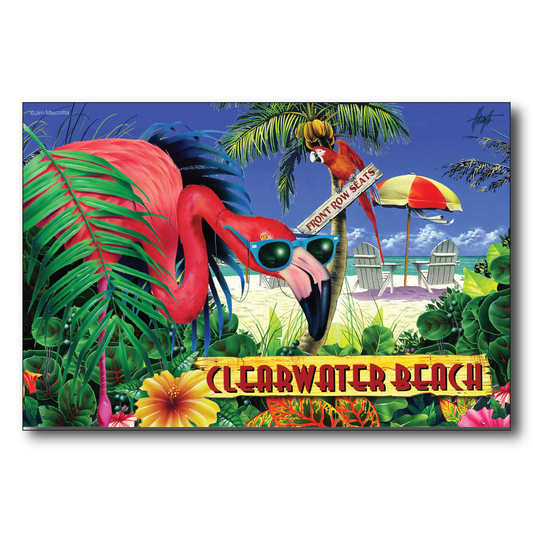 Clearwater Flamingo