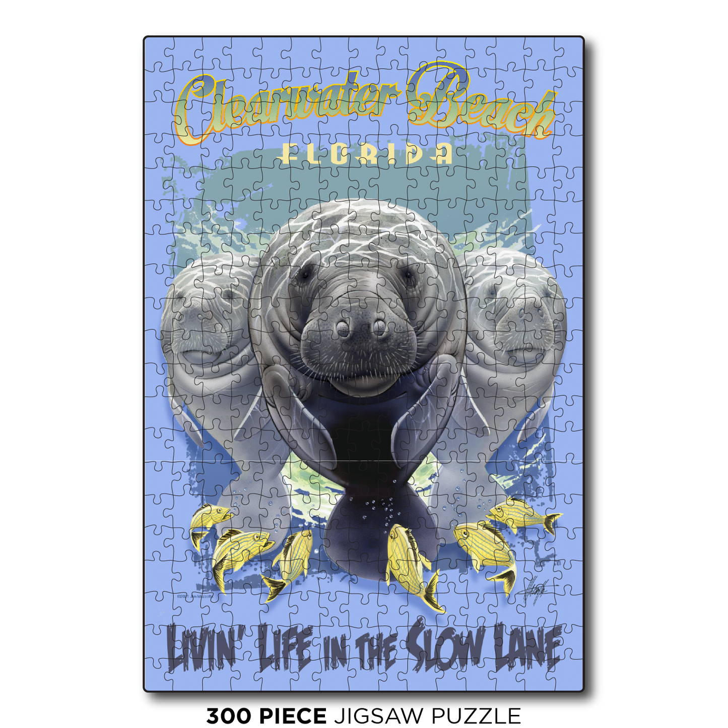 Clearwater Slow Lane