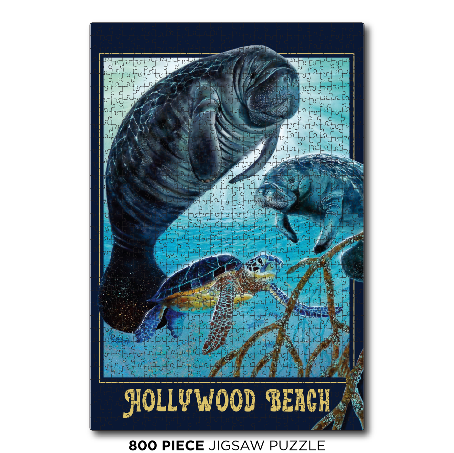 Hollywood Beach Manatee Glow