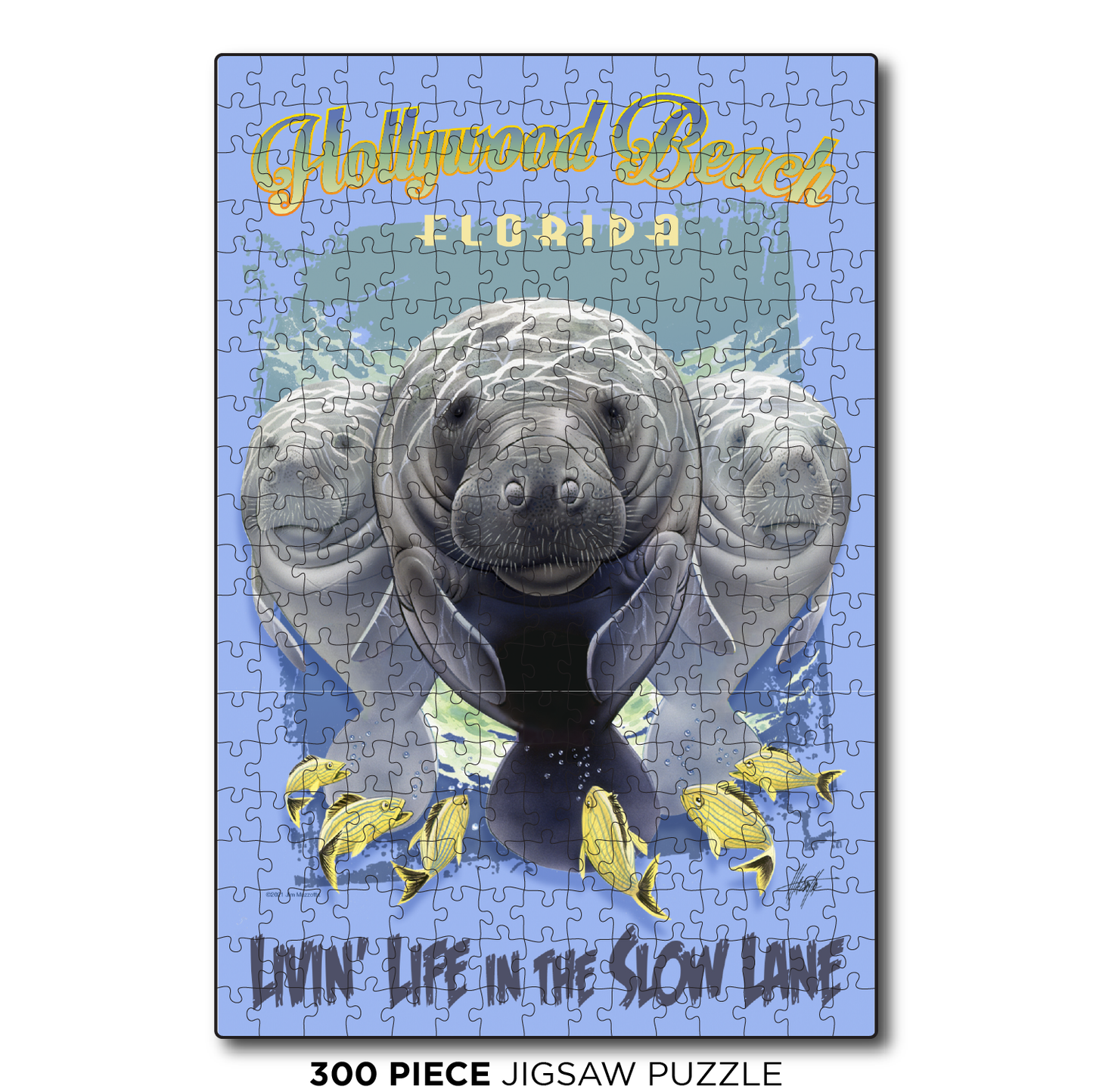 Hollywood Beach Slow Lane