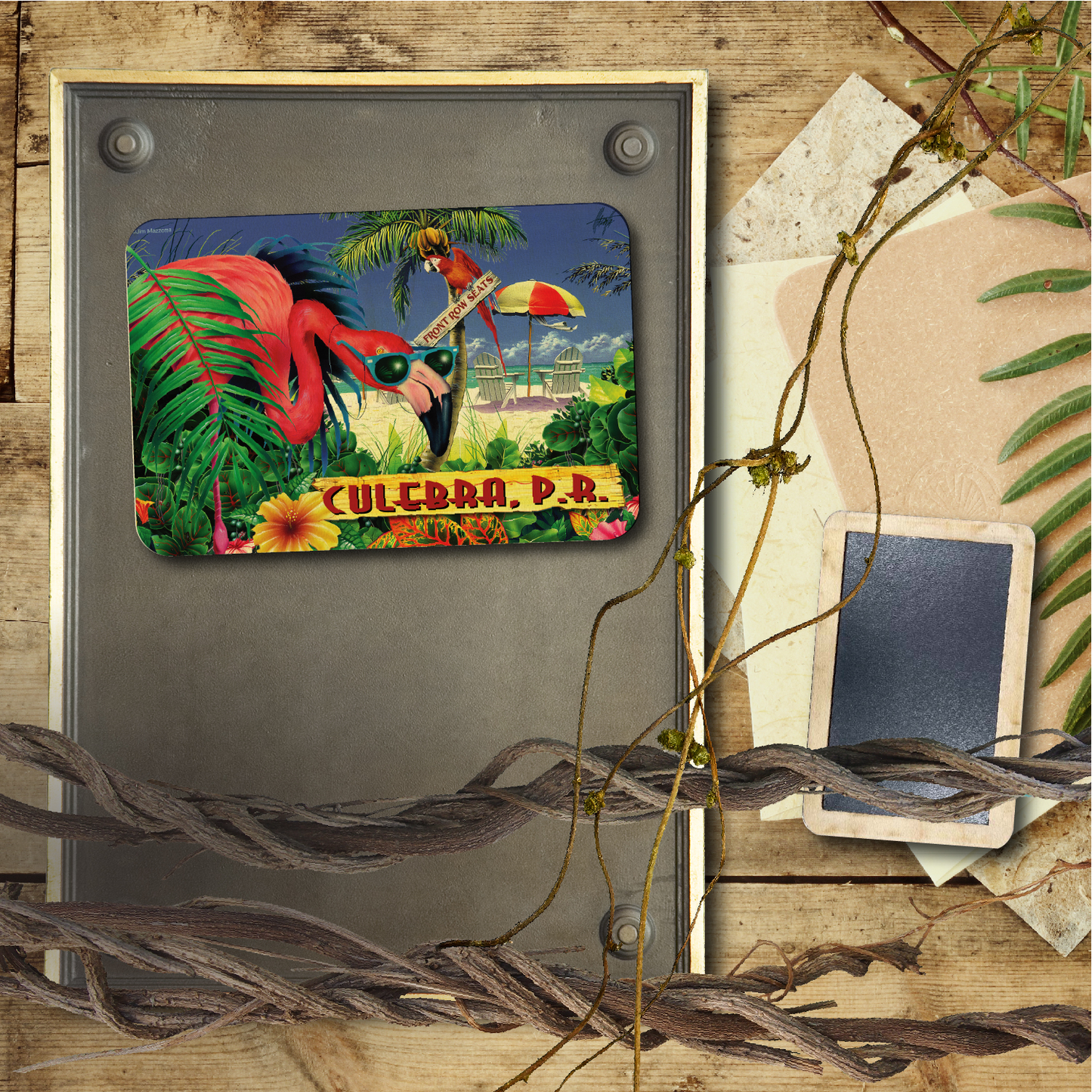 Culebra, P.R. Flamingo