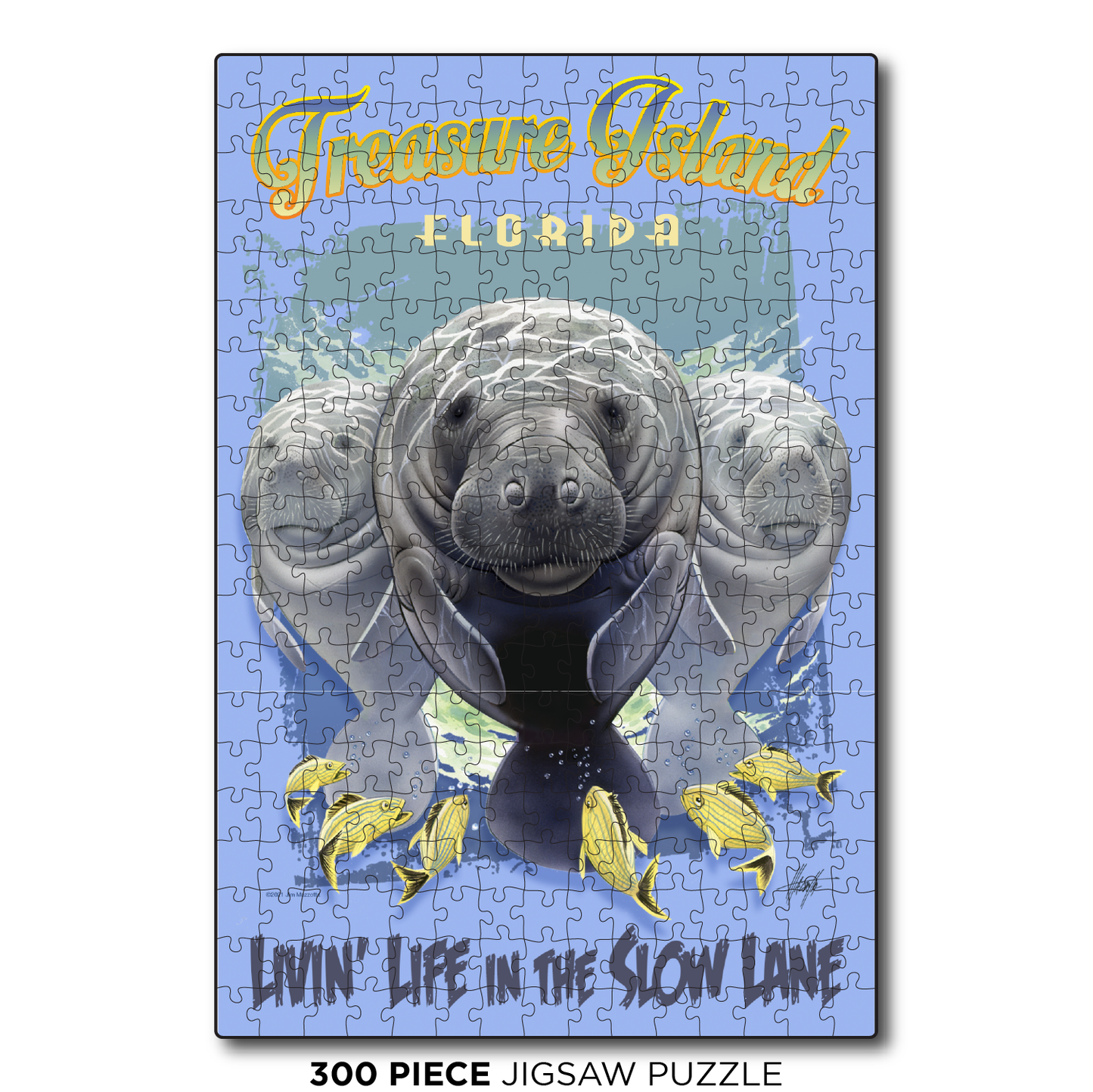Treasure Island Slow Lane