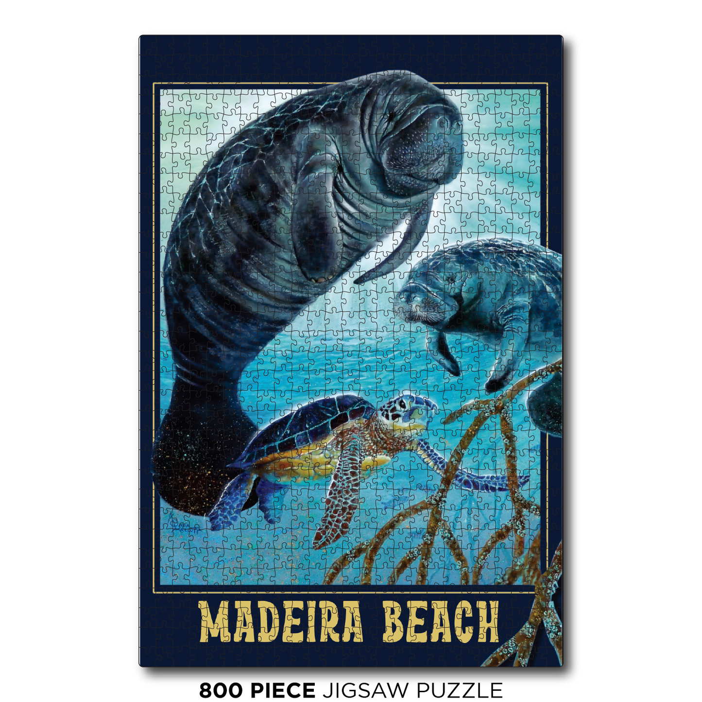 Madeira Beach Manatee Glow