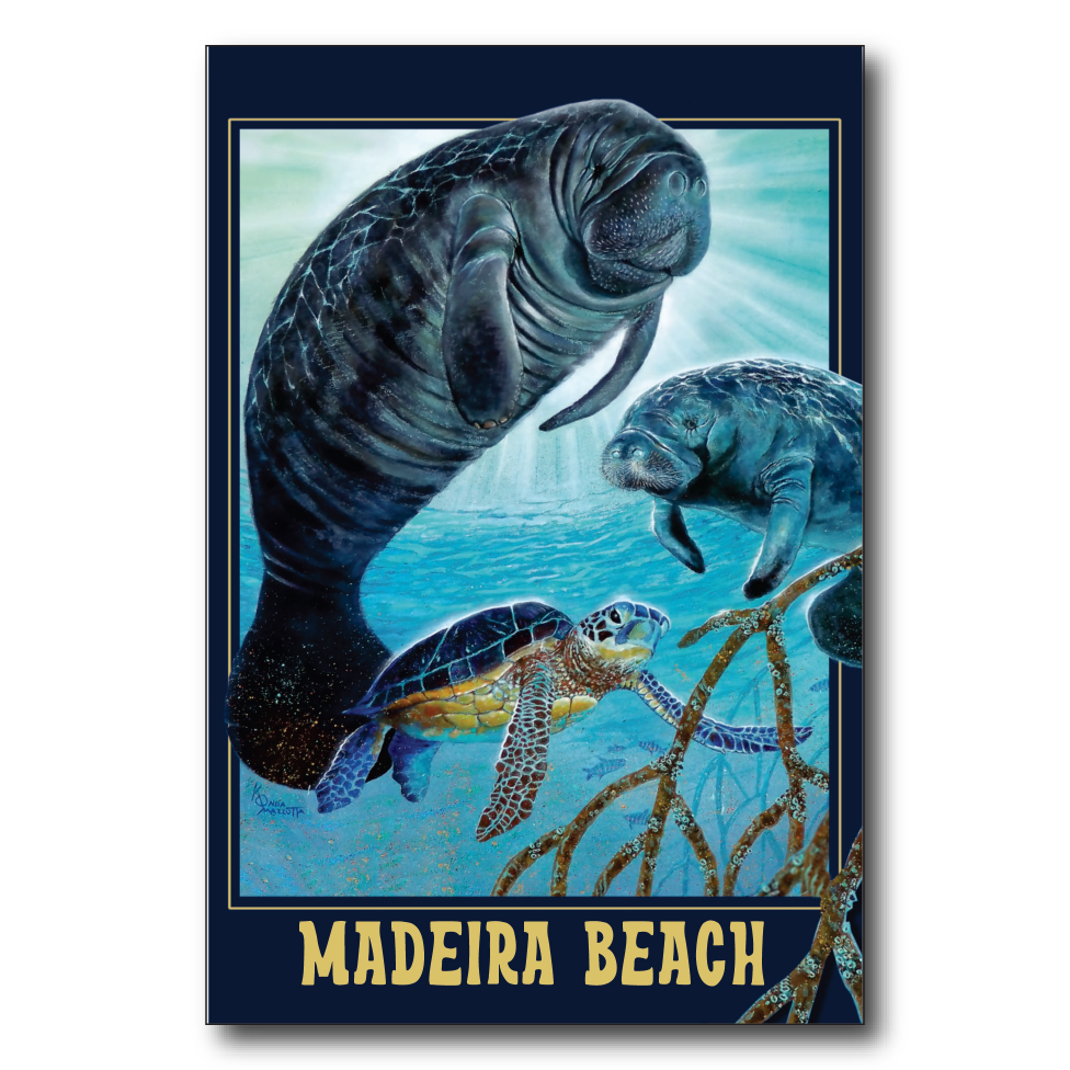 Madeira Beach Manatee Glow