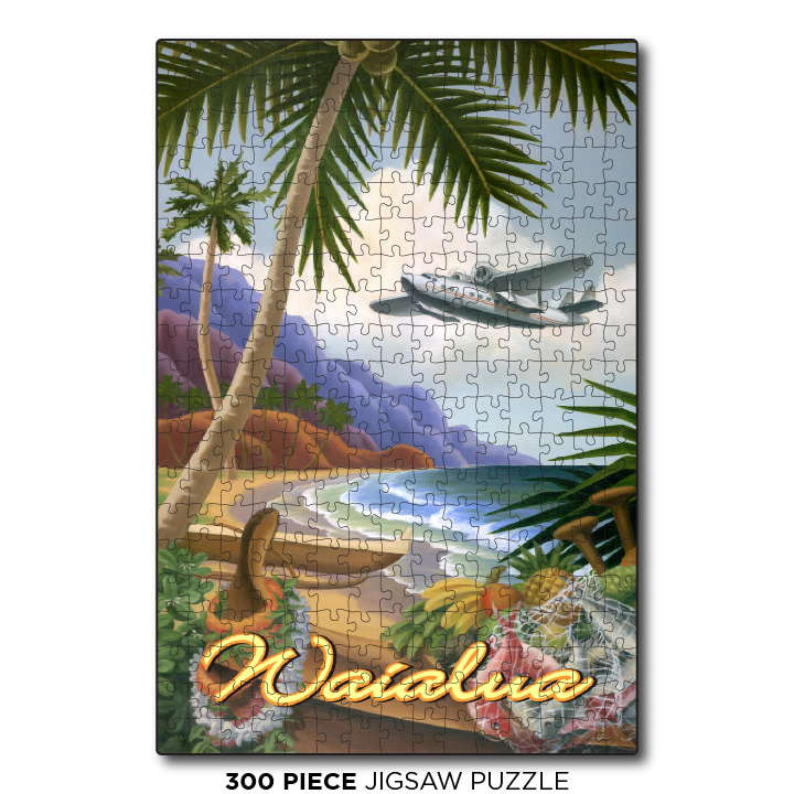 Vintage Seaplane Waialua