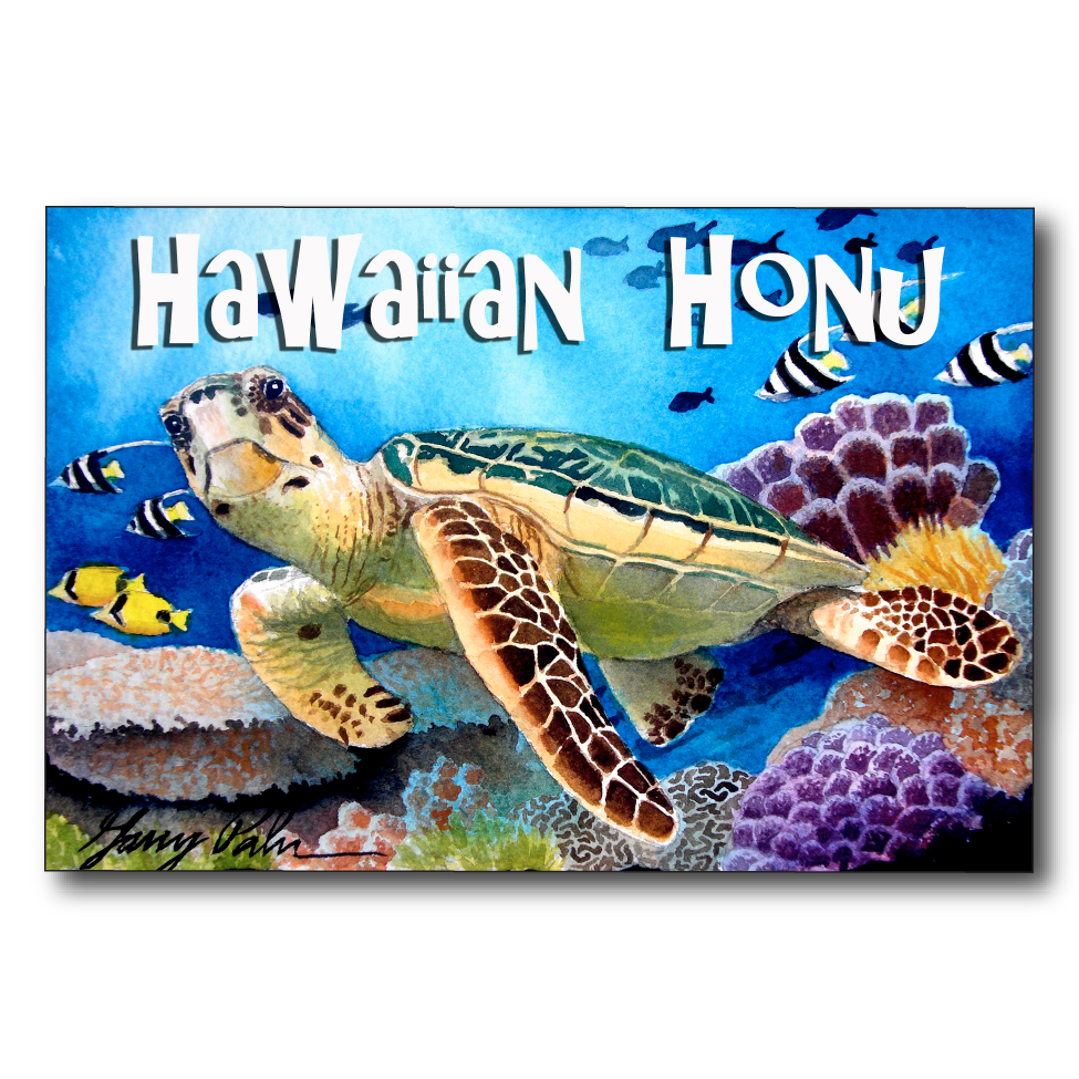 Hawaiian Honu