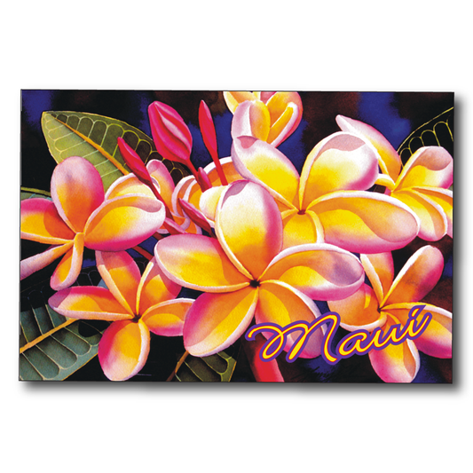 Rainbow Plumeria Maui