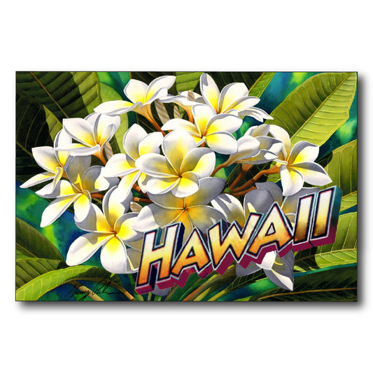 White Plumeria Hawaii