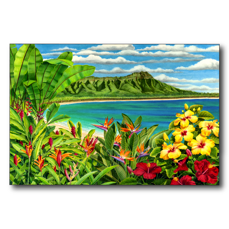 Diamond Head Flowers