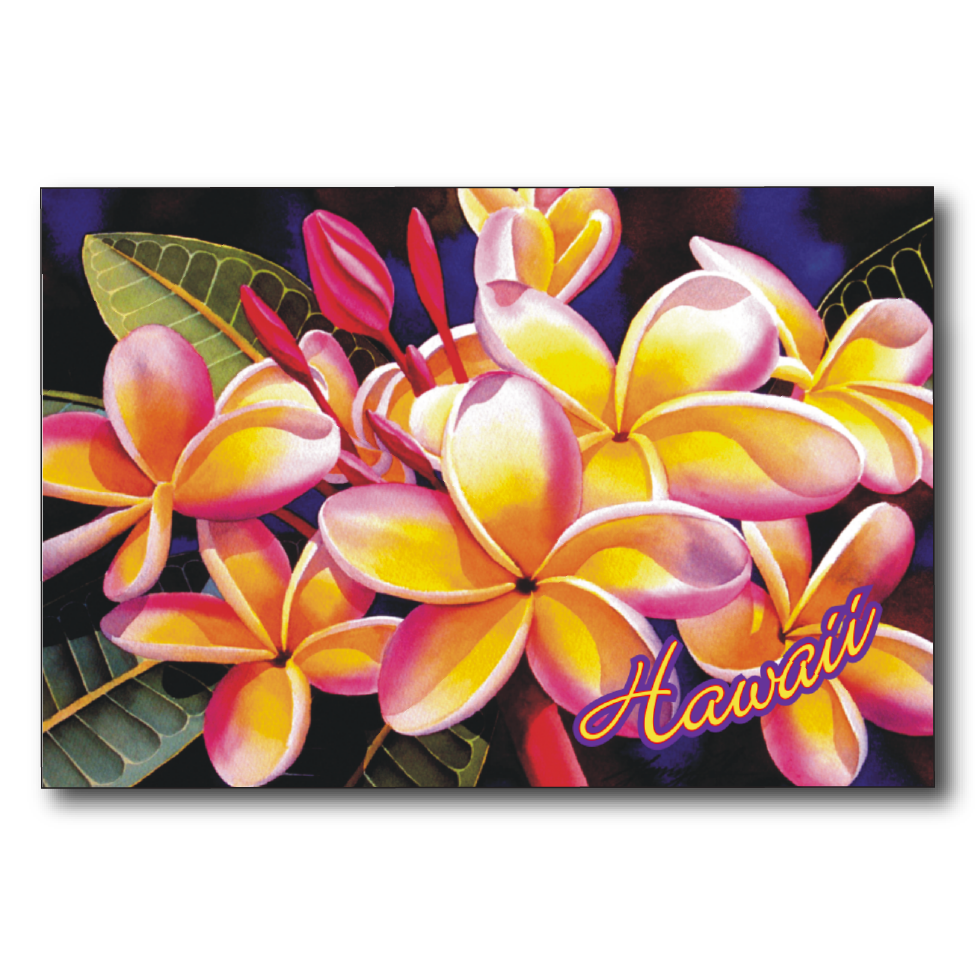 Rainbow Plumeria Hawaii