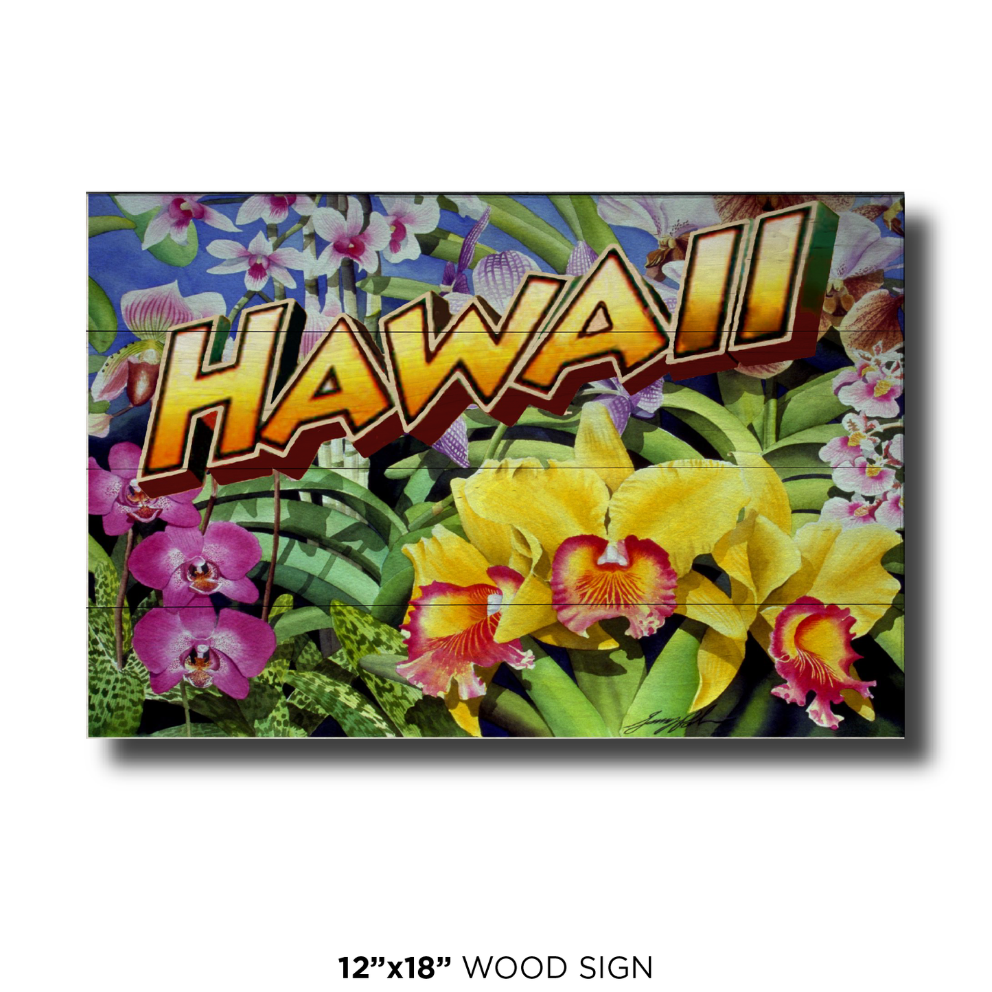 Hawaii Orchids