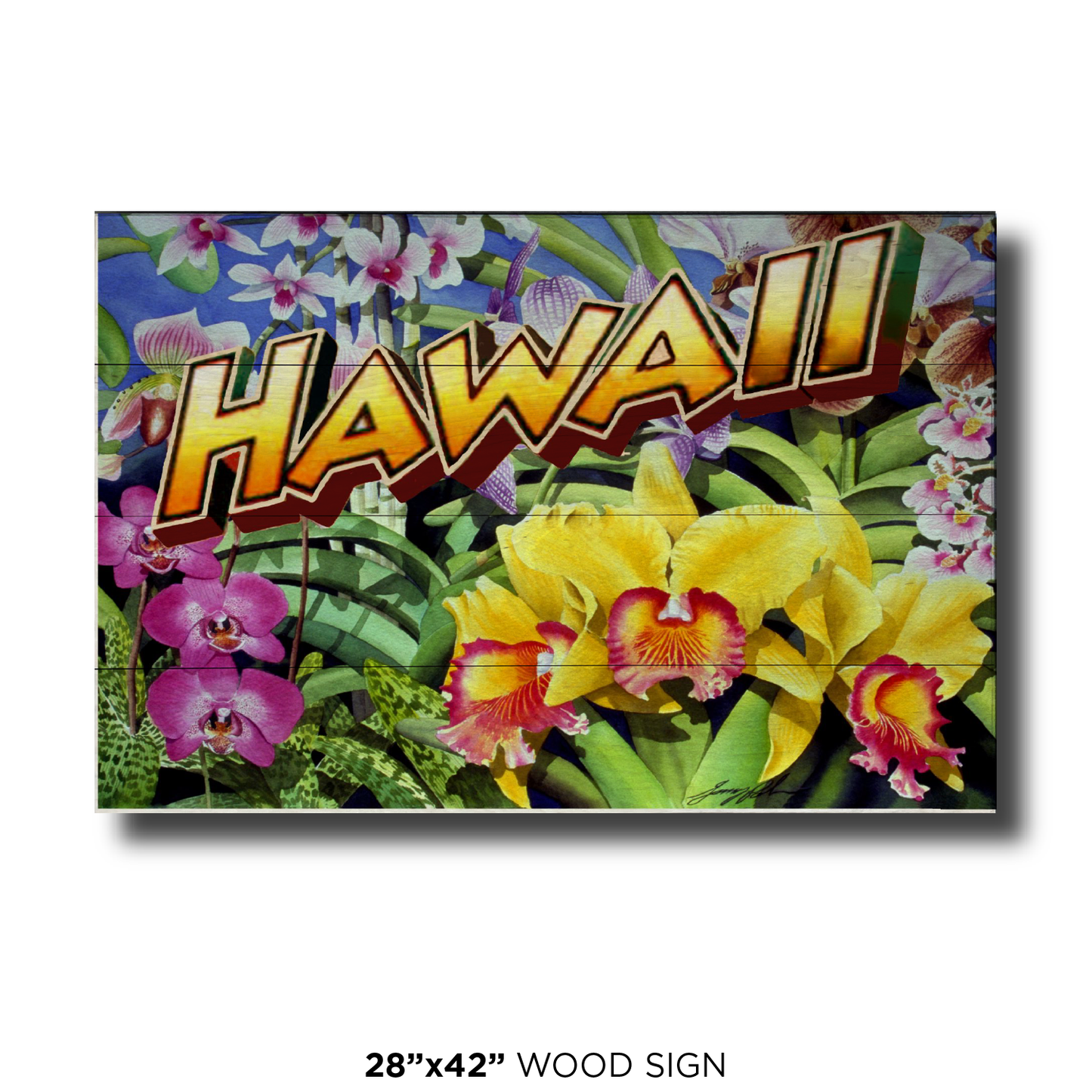 Hawaii Orchids