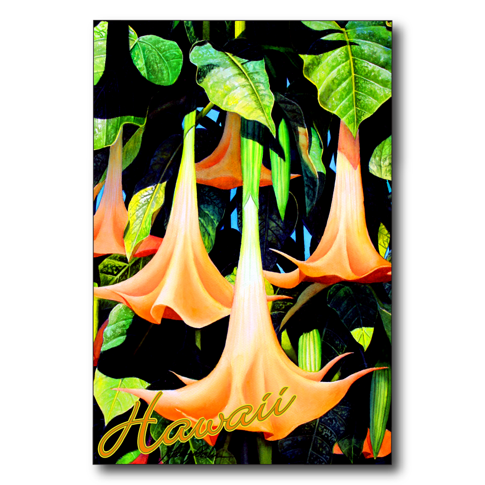 Angel's Trumpet