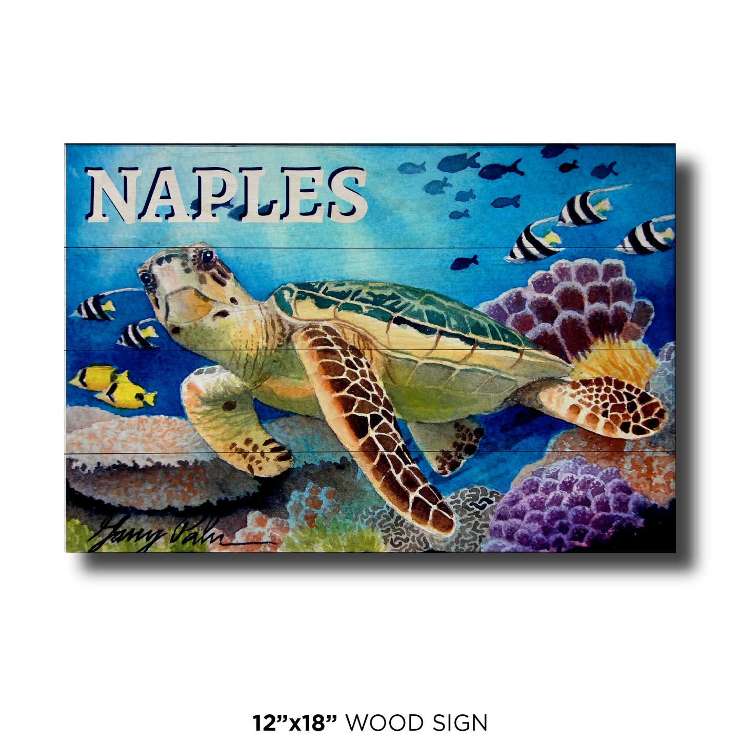 Naples Sea Turtle