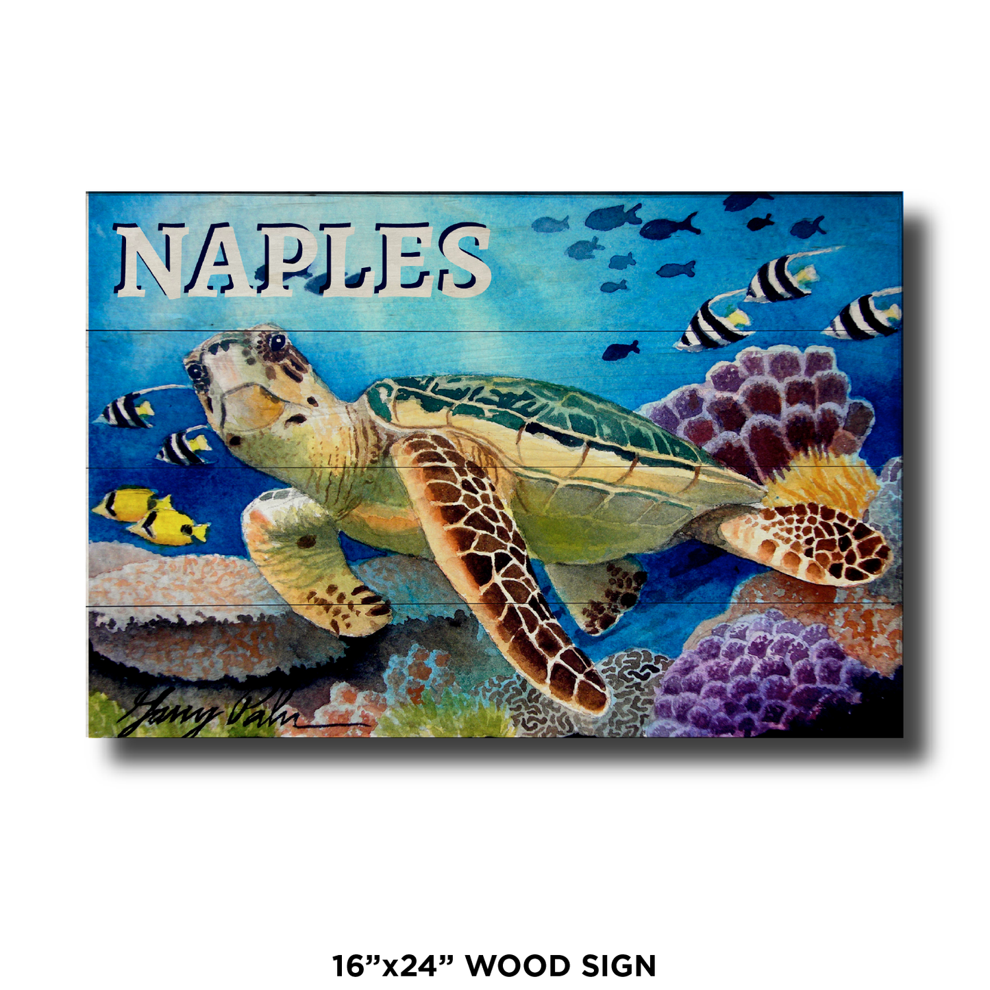 Naples Sea Turtle