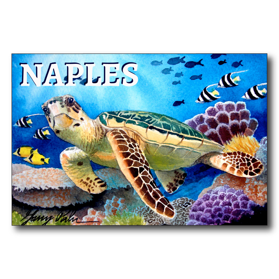 Naples Sea Turtle