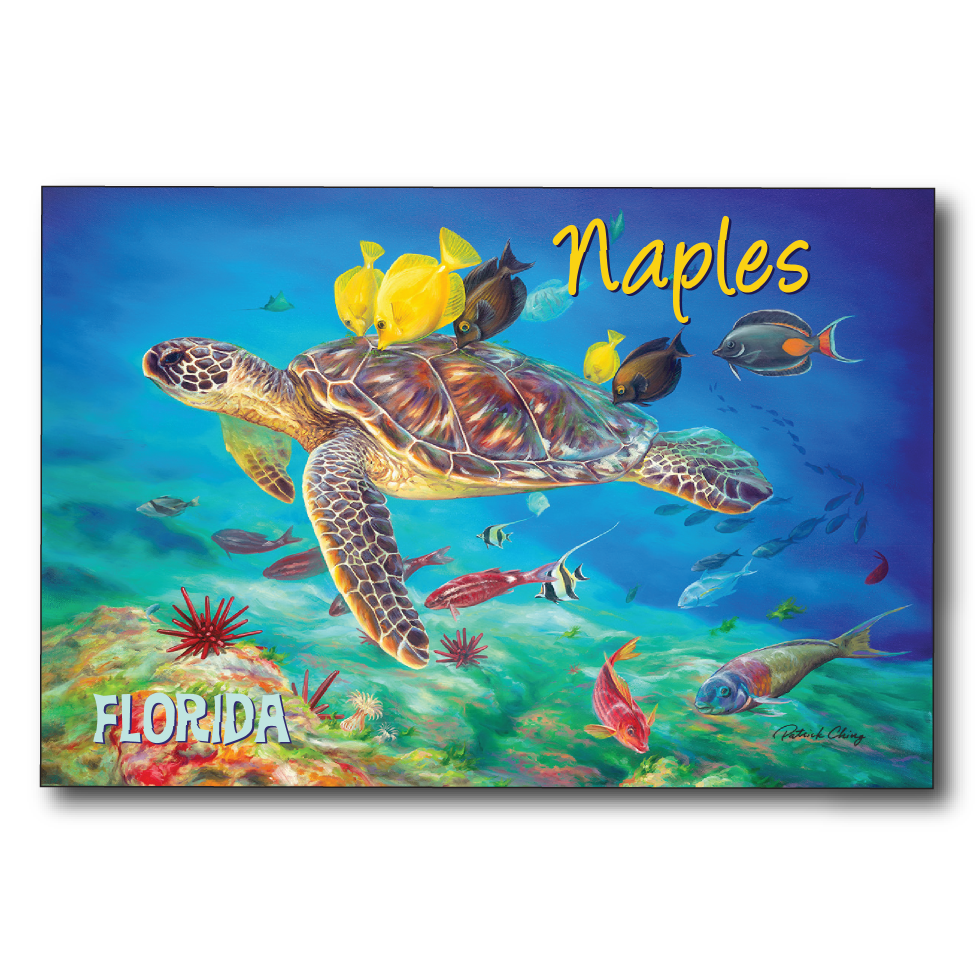 Undersea Kisses Naples