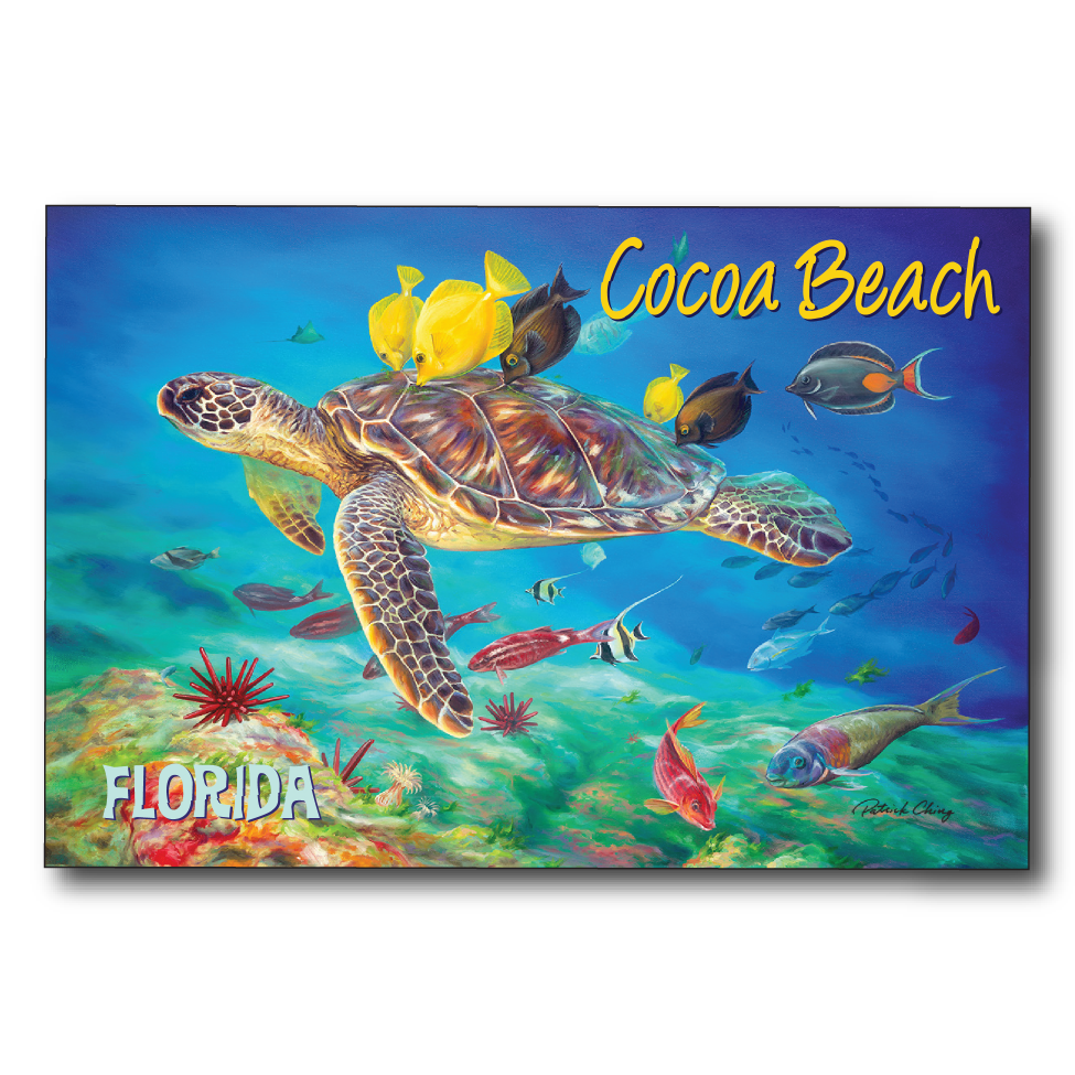 Undersea Kisses Cocoa Beach