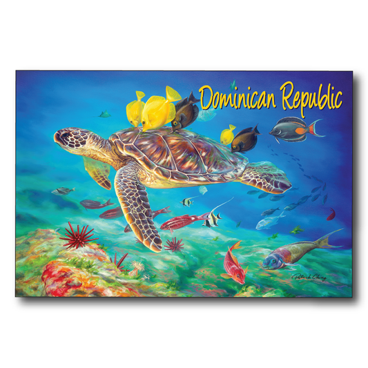Undersea Kisses Dominican Republic