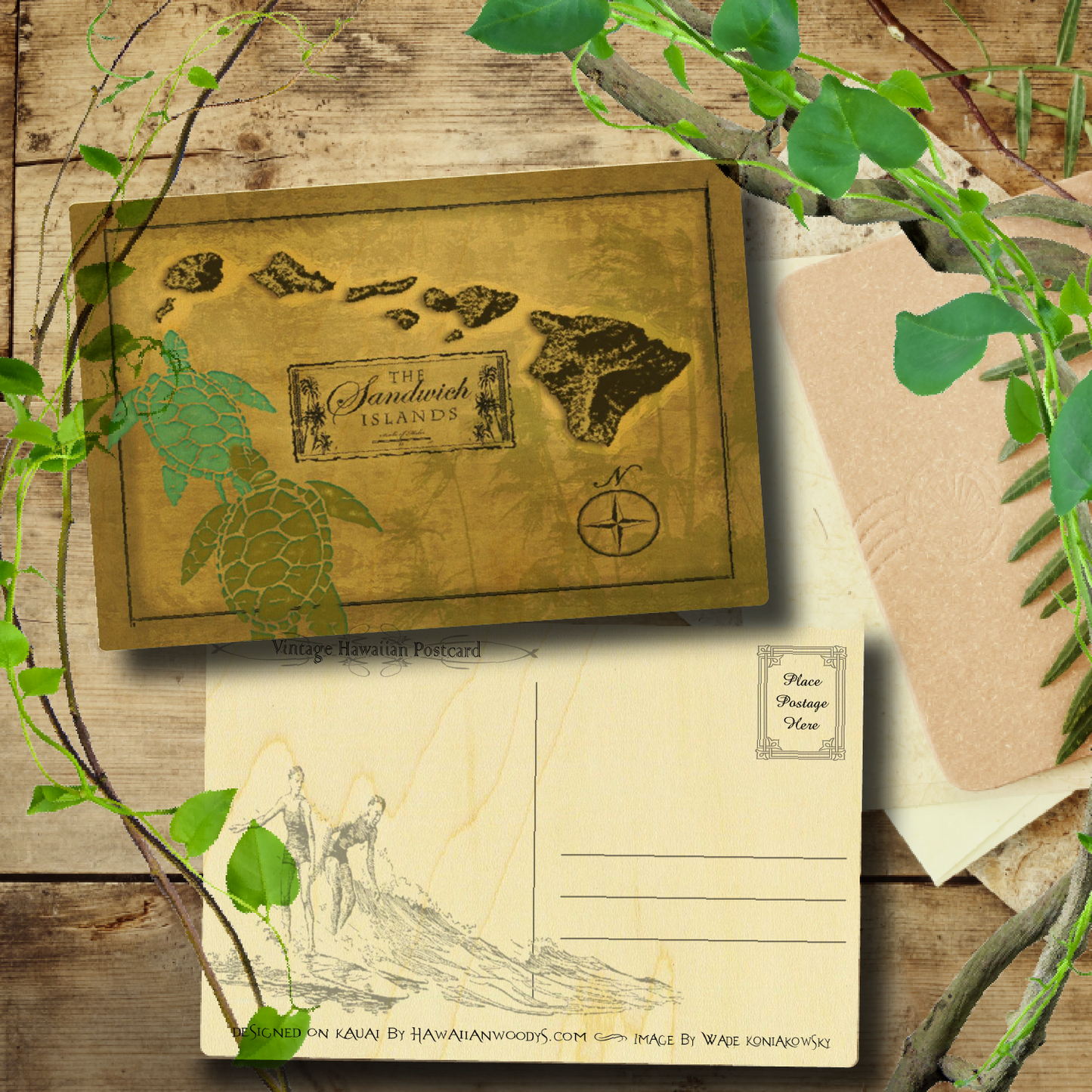 Sanwhich Islands Honu