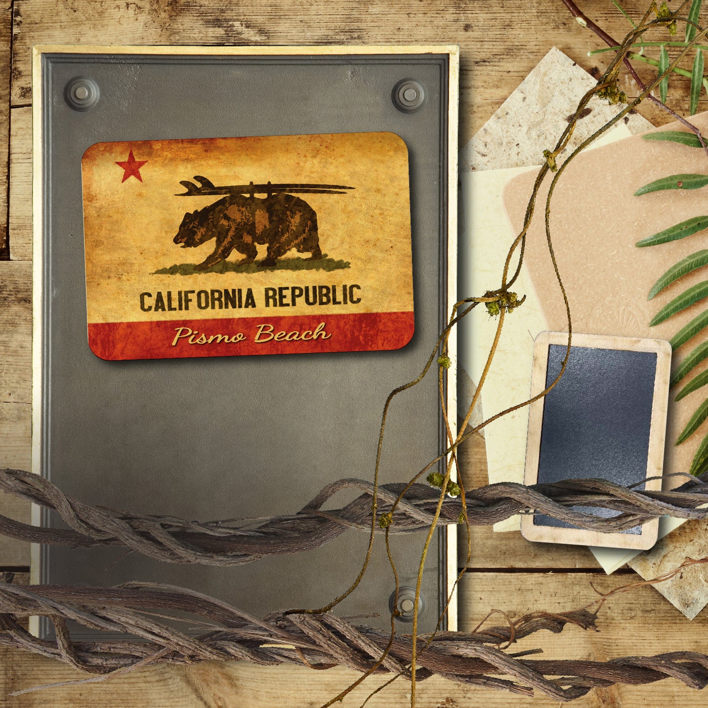 CA Republic Surf Bear Pismo Beach