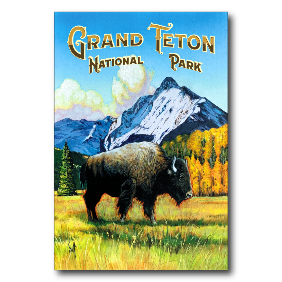 Grand Teton West Bison