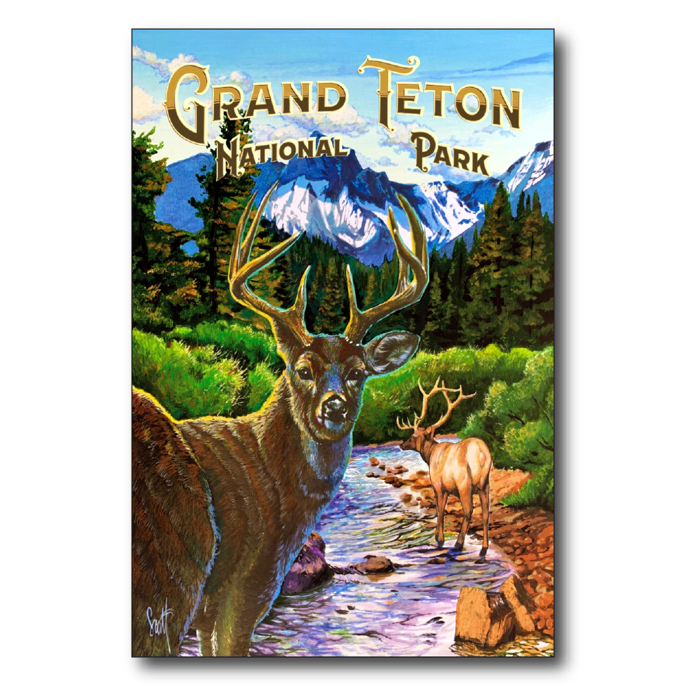 Grand Teton West Buck