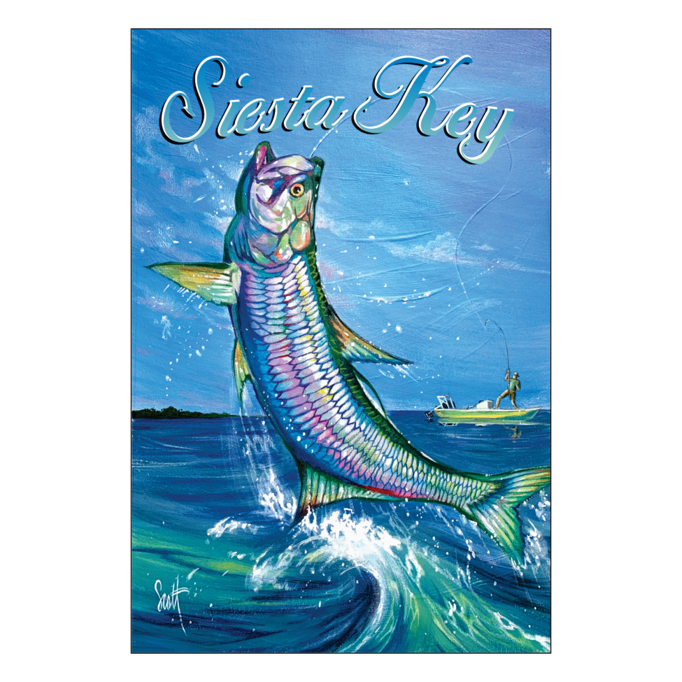 Siesta Key Tarpon