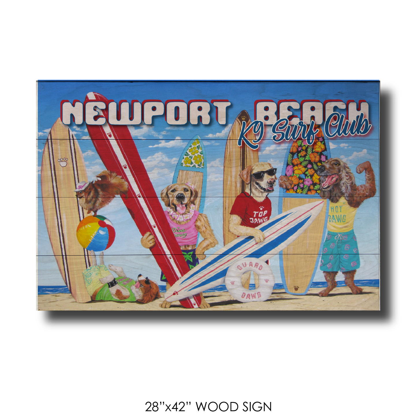 K9 Surf Club Newport Beach