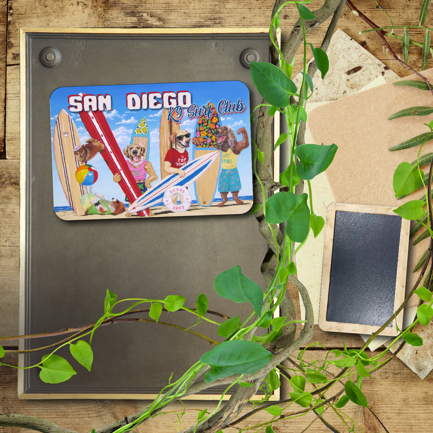 K9 Surf Club San Diego