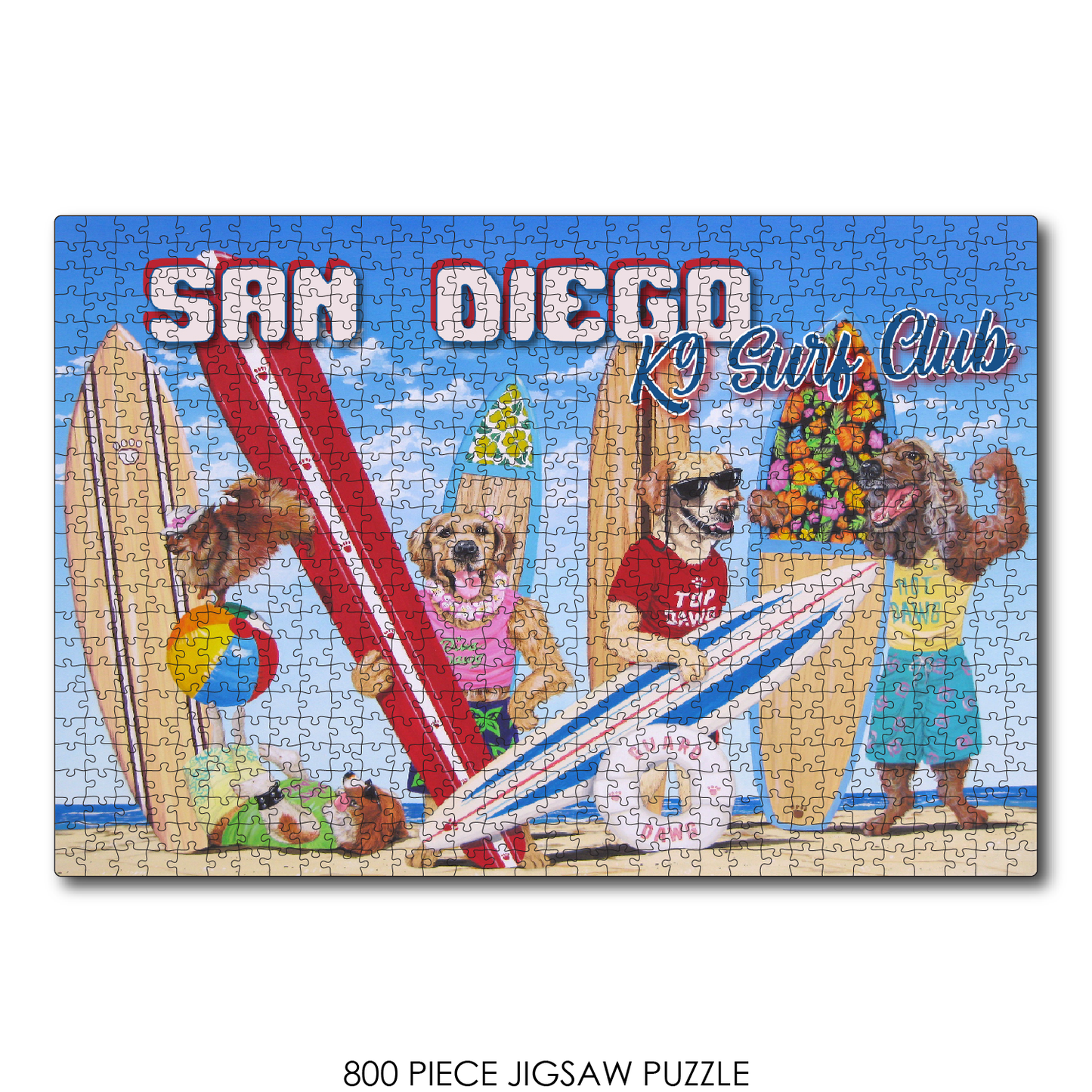 K9 Surf Club San Diego
