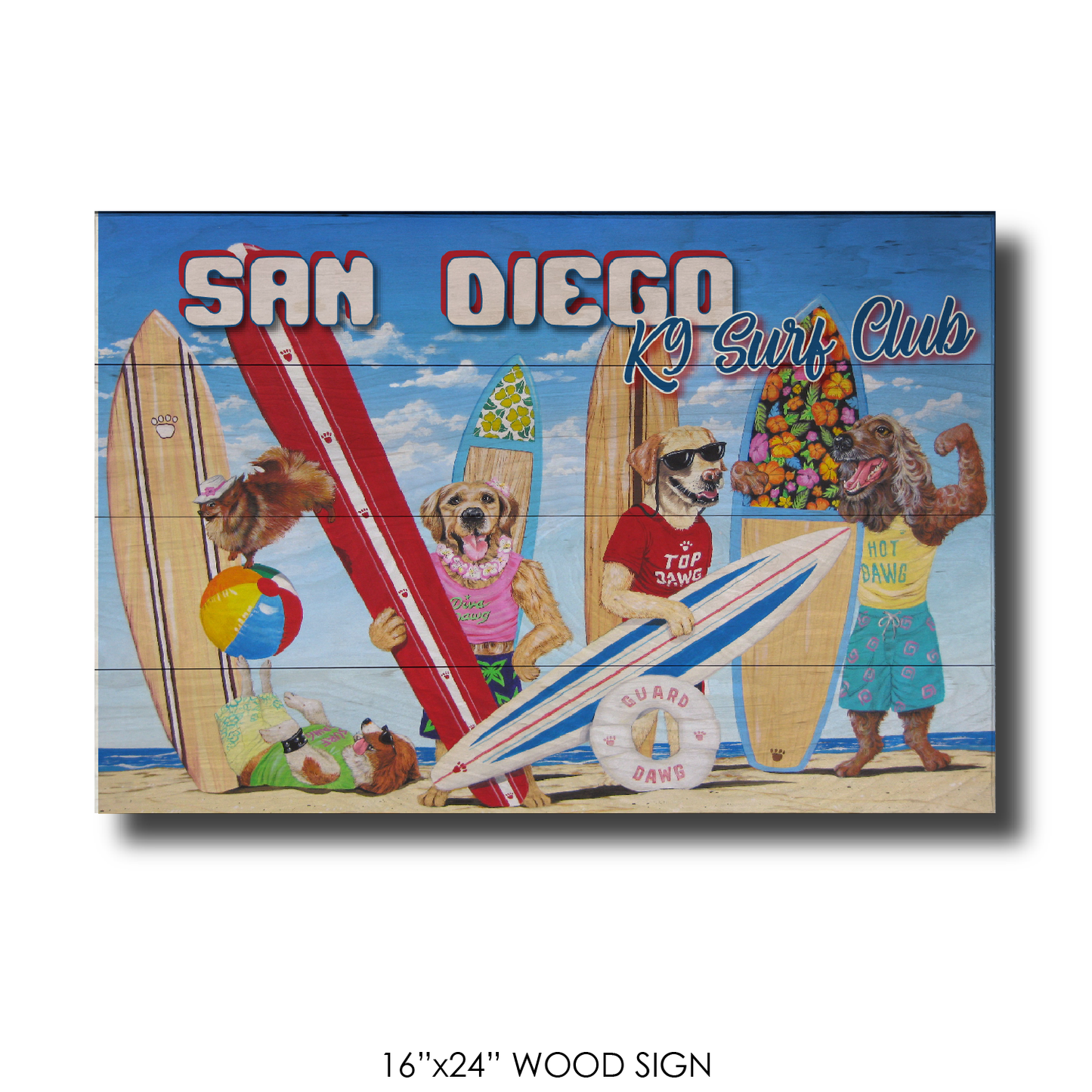 K9 Surf Club San Diego