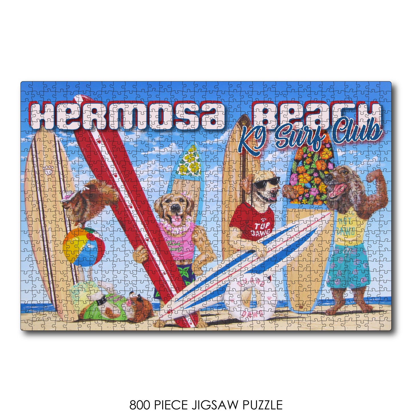 K9 Surf Club Hermosa Beach