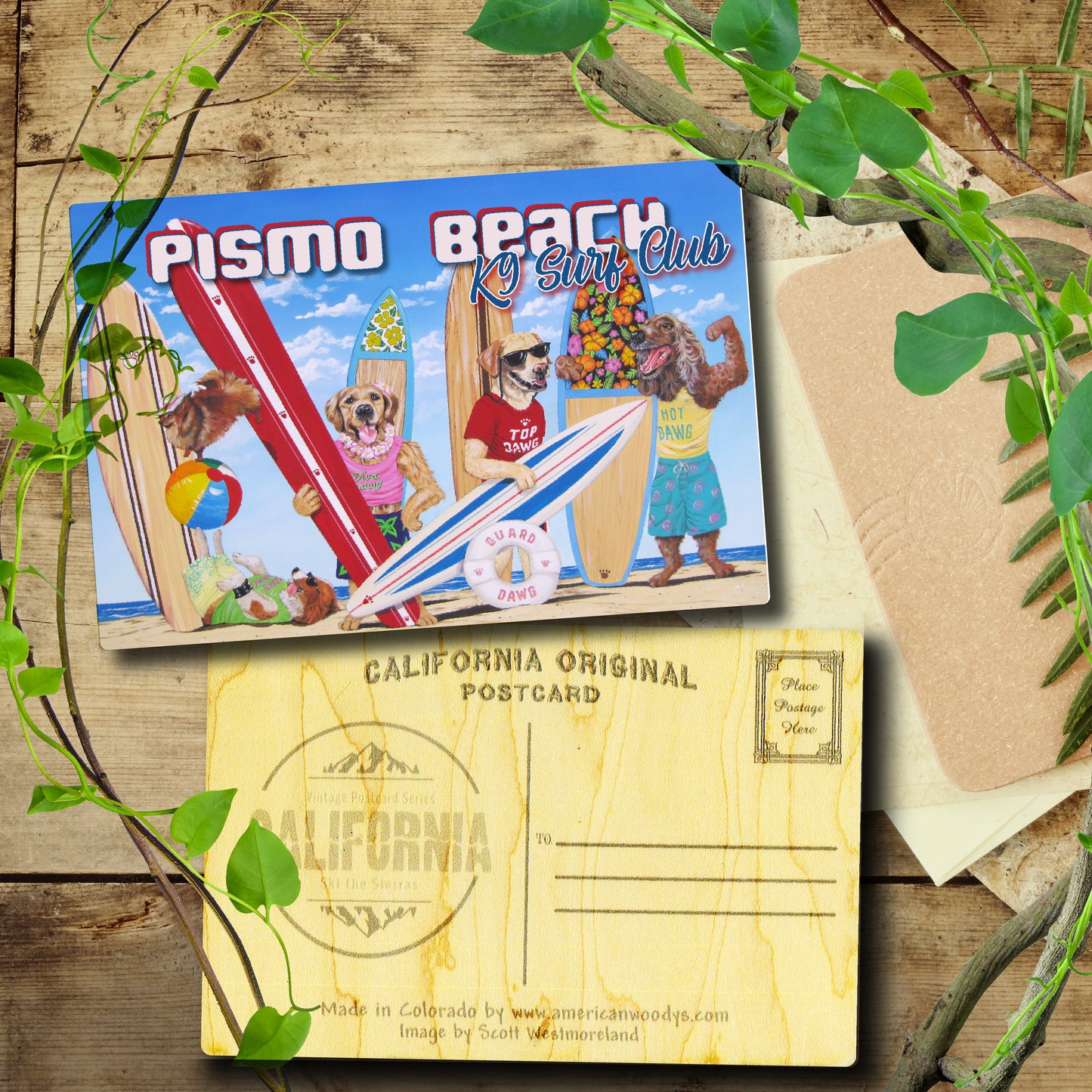 K9 Surf Club Pismo Beach
