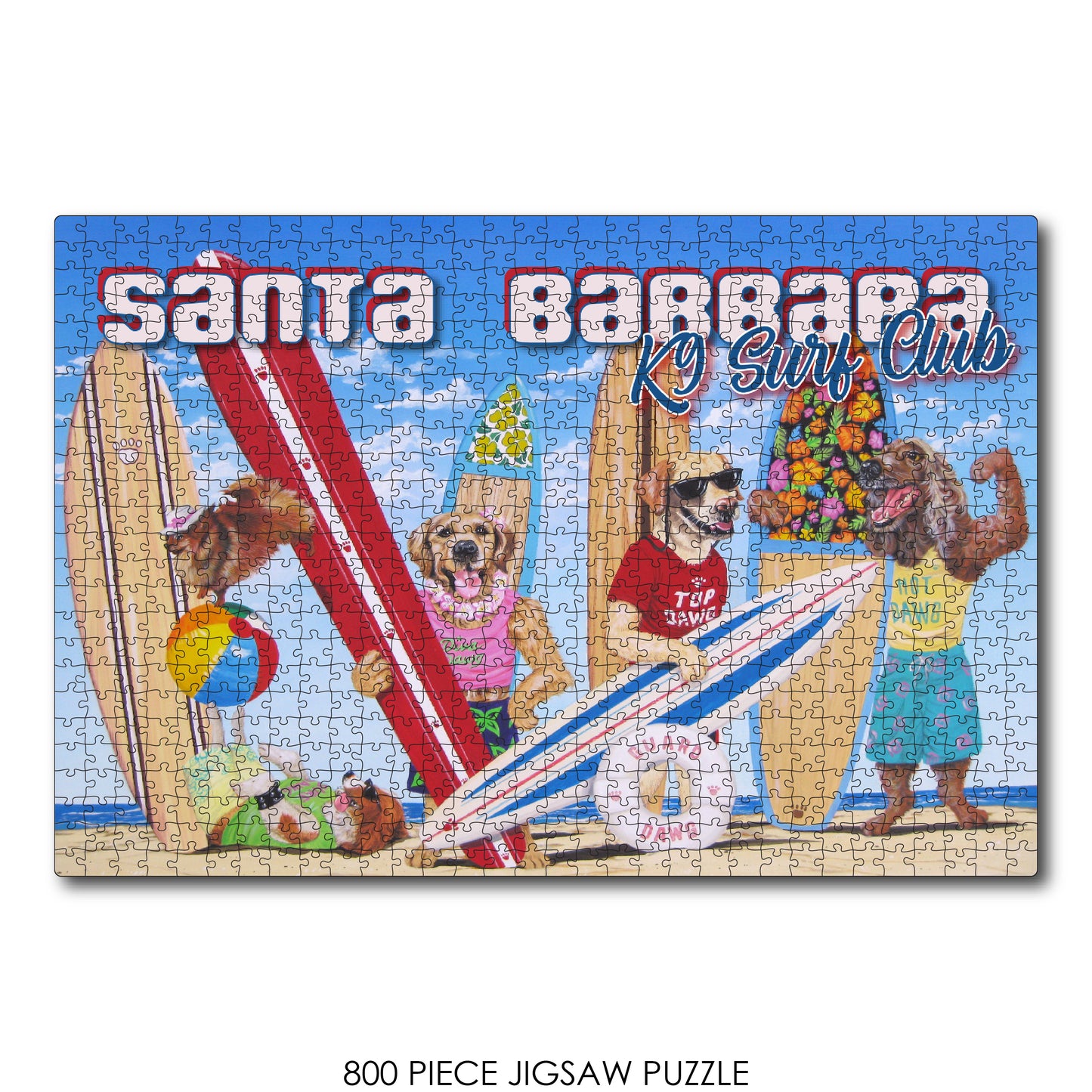 K9 Surf Club Santa Barbara