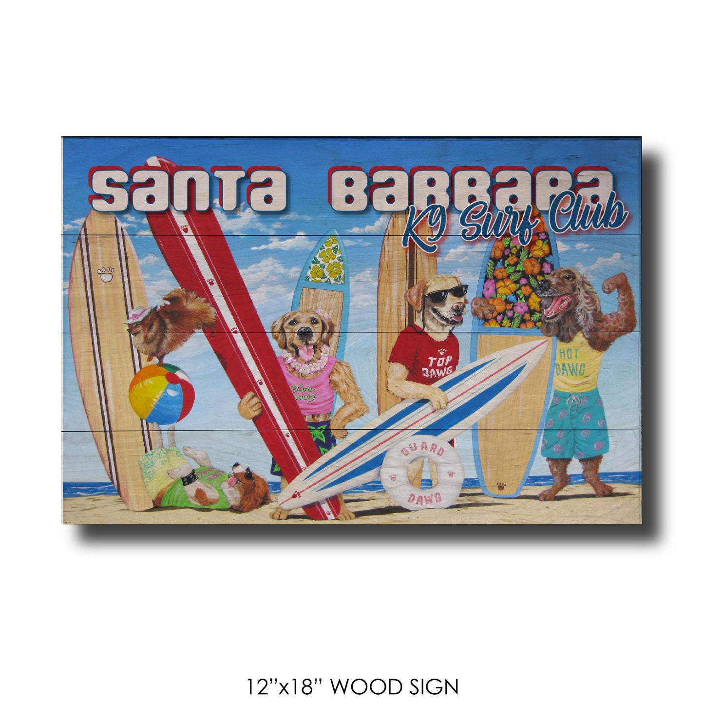 K9 Surf Club Santa Barbara
