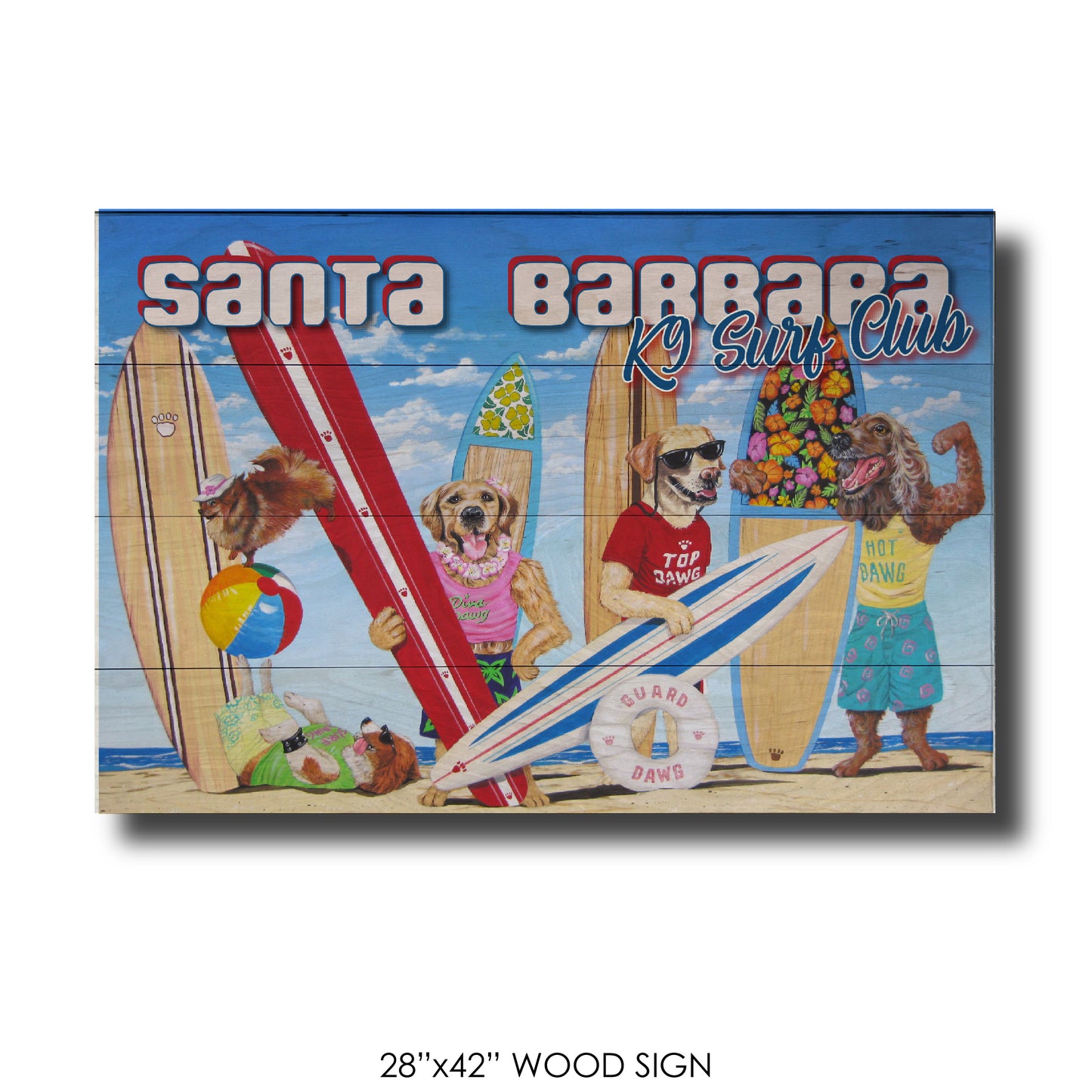 K9 Surf Club Santa Barbara
