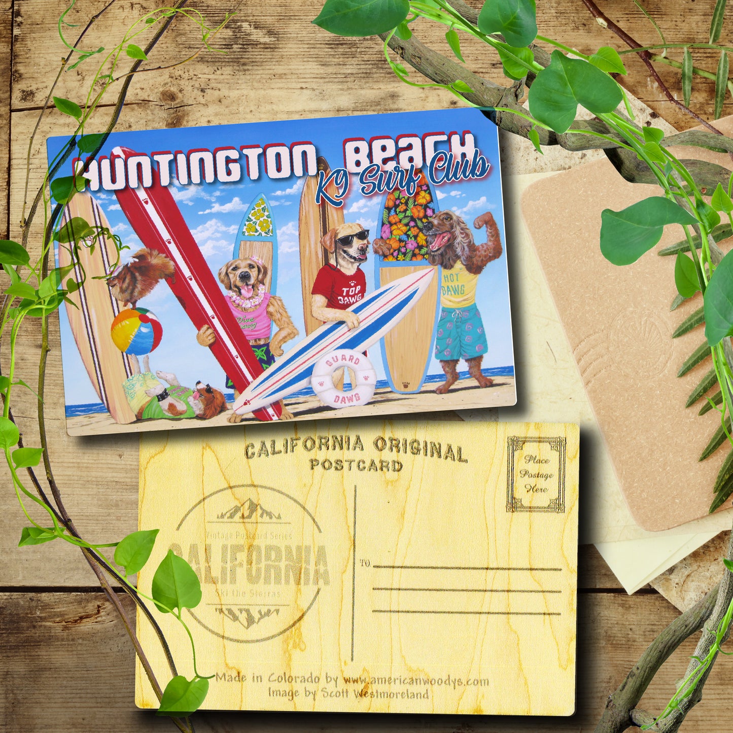 K9 Surf Club Huntington Beach