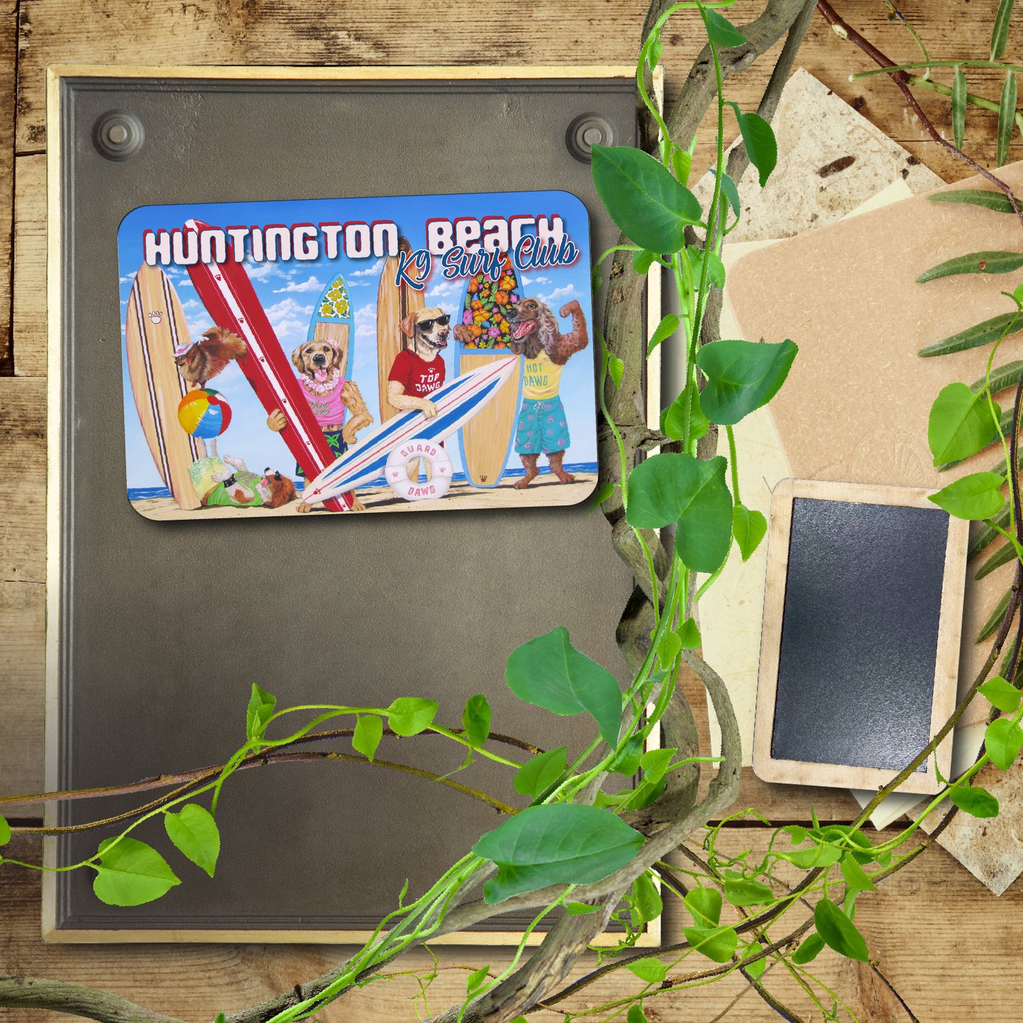 K9 Surf Club Huntington Beach