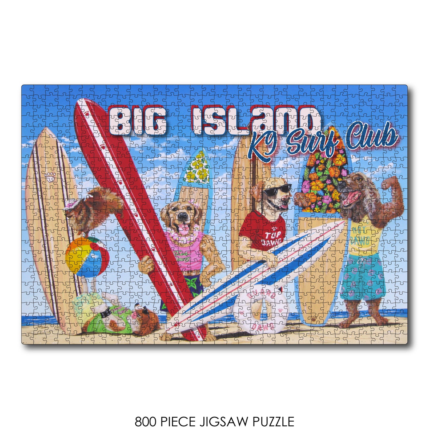 K9 Surf Club Big Island