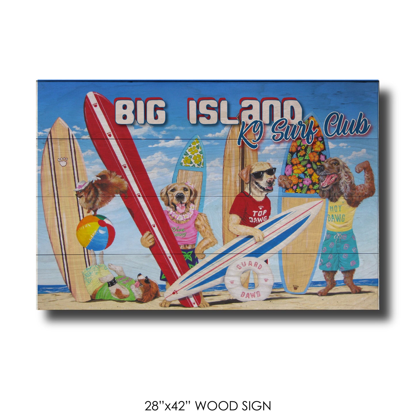 K9 Surf Club Big Island