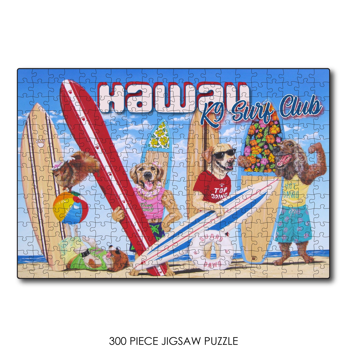 K9 Surf Club Hawaii