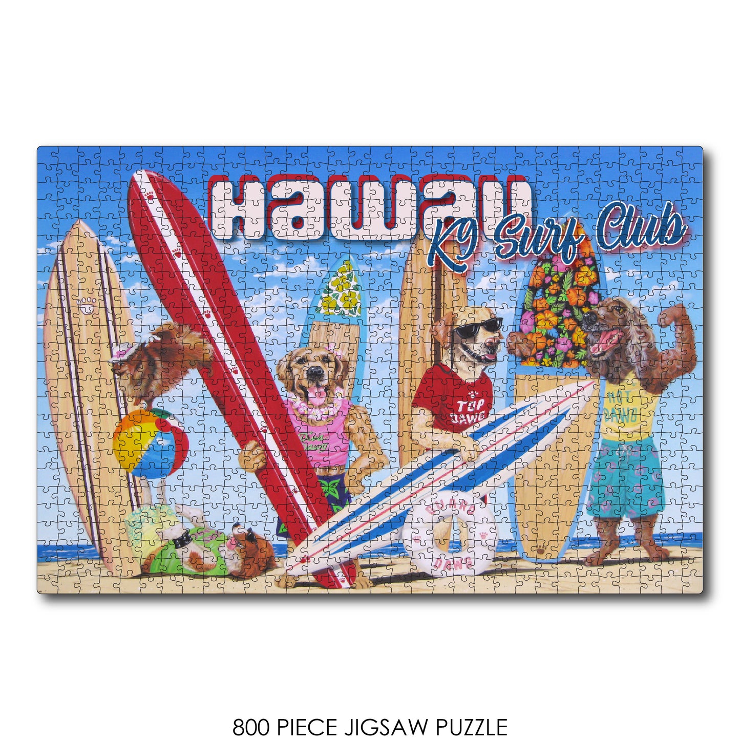 K9 Surf Club Hawaii