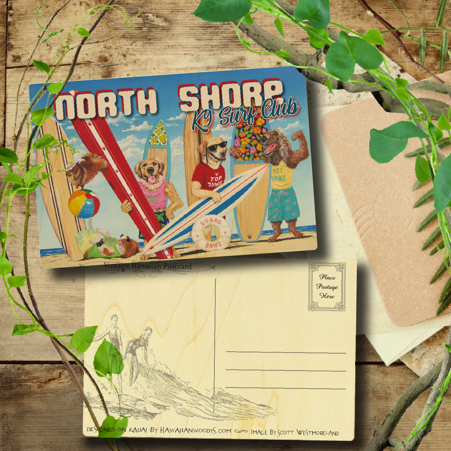 K9 Surf Club North Shore