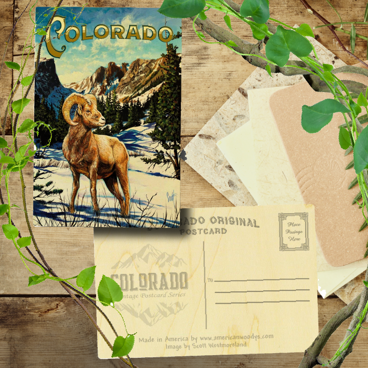 Colorado West Big Horn