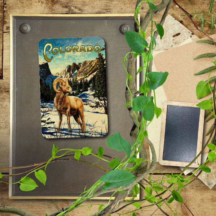 Colorado West Big Horn