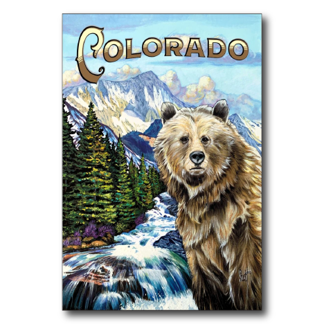 Colorado Bear
