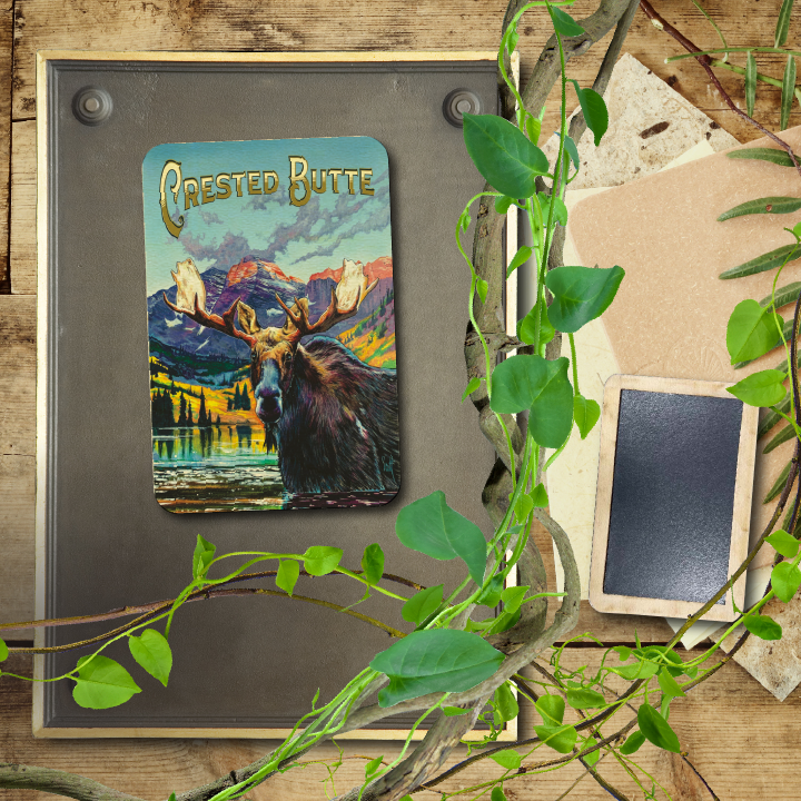 Crested Butte West Moose