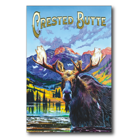 Crested Butte West Moose